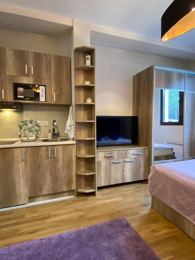 Sanstef Studio Zlatibor Bagian luar foto
