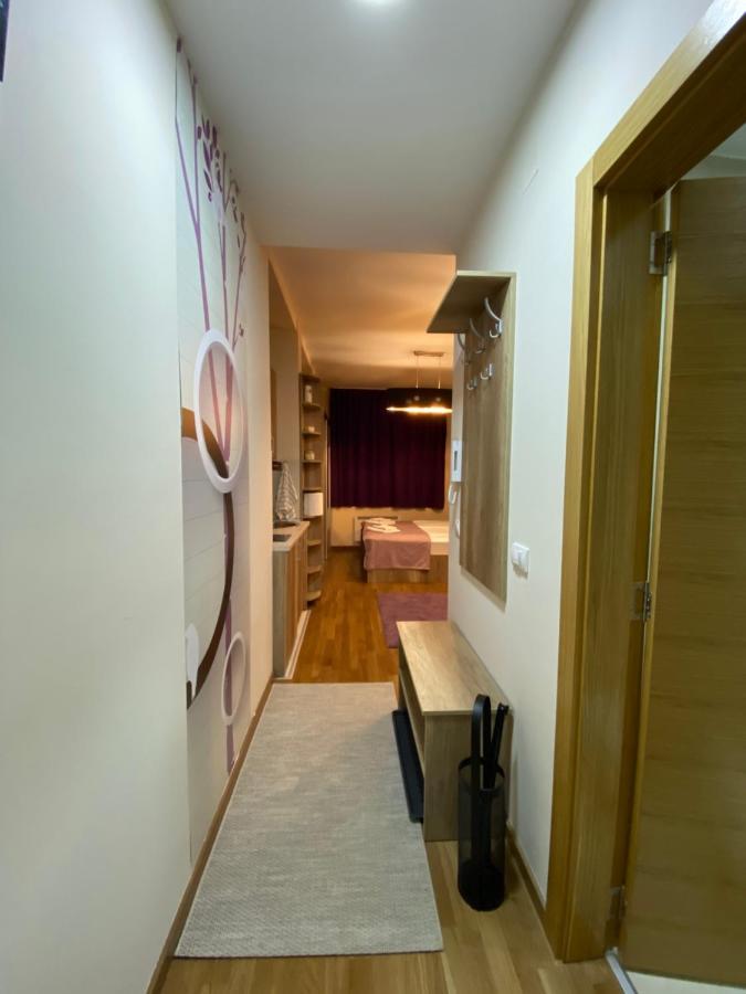 Sanstef Studio Zlatibor Bagian luar foto